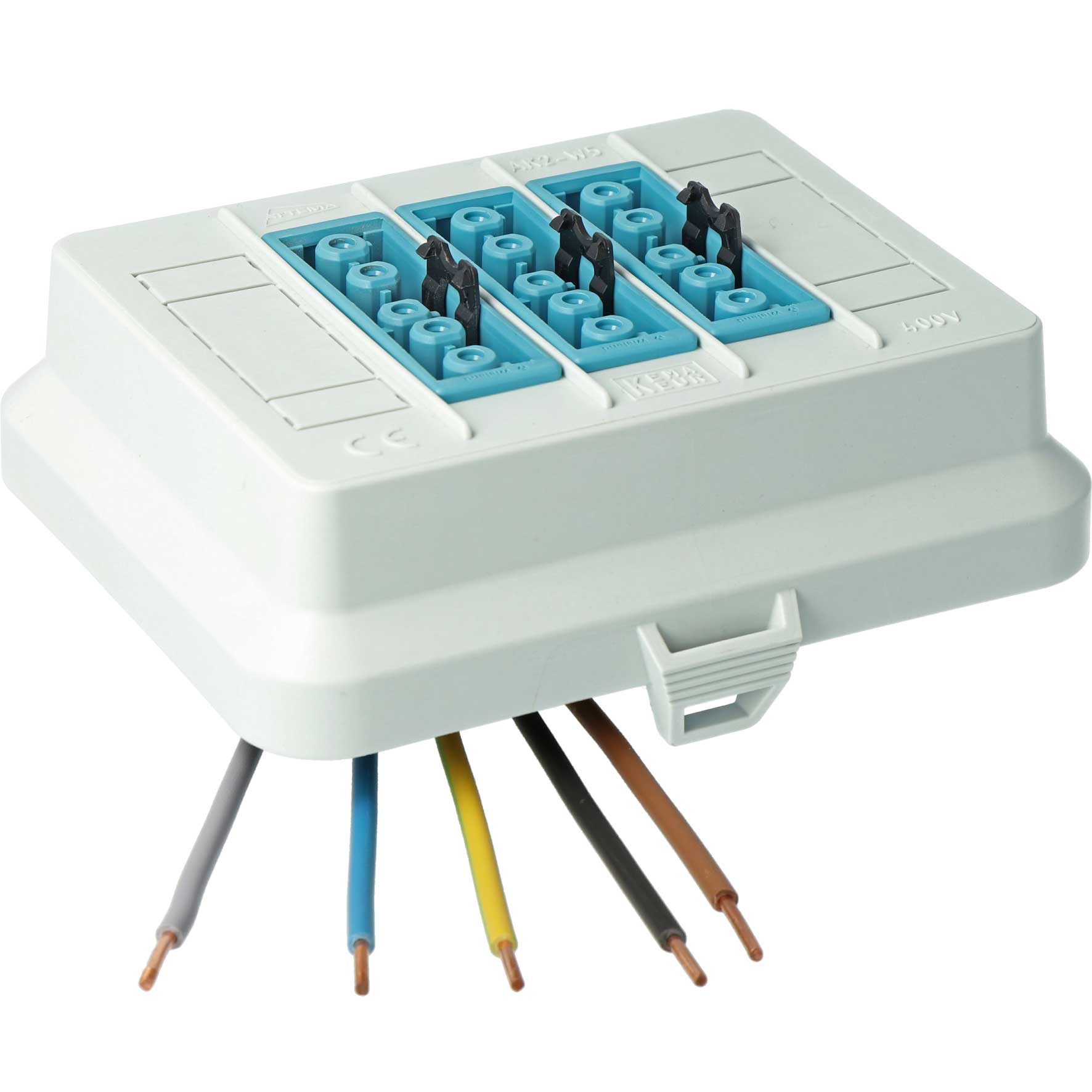 Steckbar Frontteil AK2, Wieland GST18,, out: 3x5pol DALI blau, 125x100x42 mm, lichtgrau